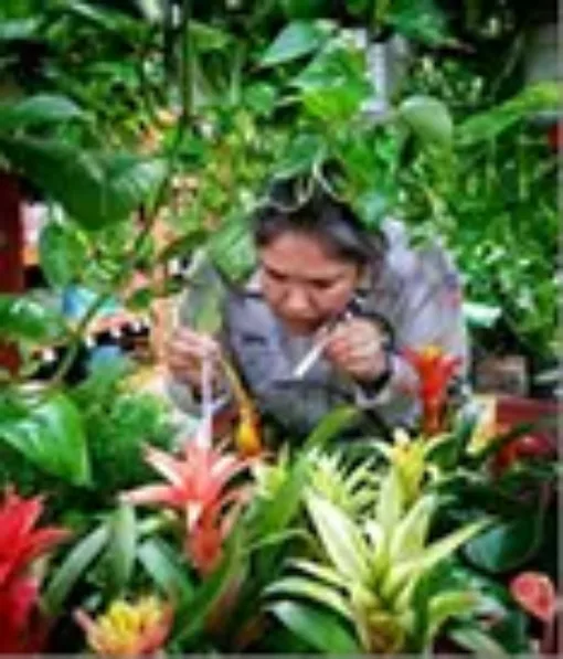 Woman examining plants