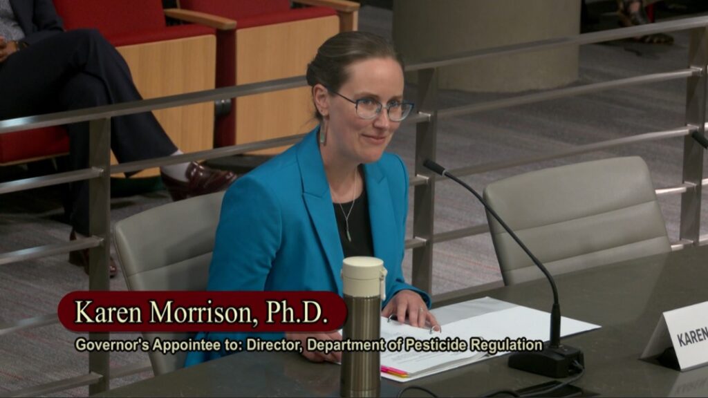 Karen Morrison speaking before the California Senate