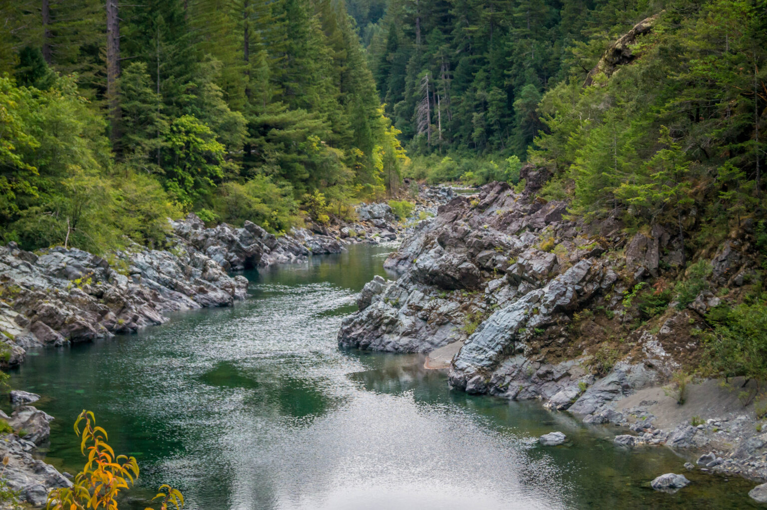 New Study to Support Water Quality Protection in the Smith River Plain ...